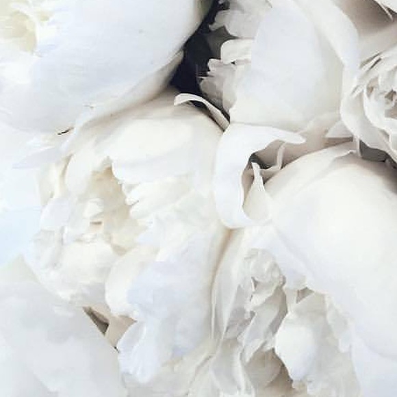 kate spade Handbags - order for sewgirl55